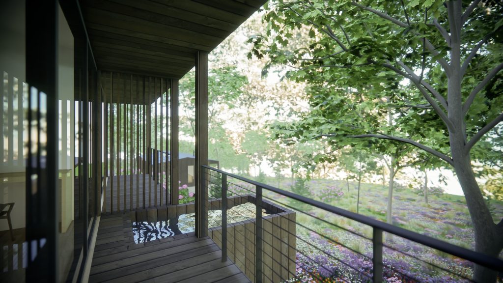 Back Deck (1)